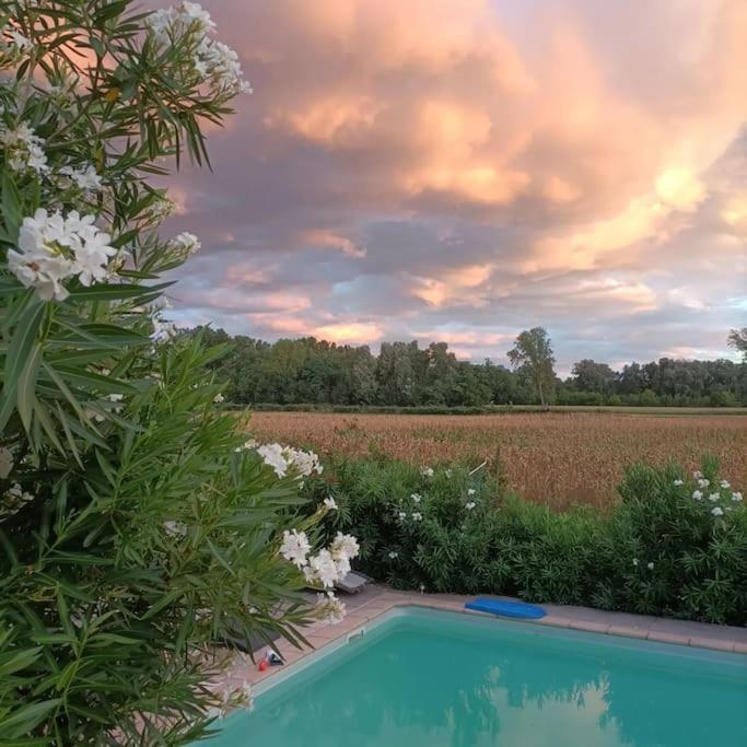 Villa Malisa La Voulte-sur-Rhone Extérieur photo